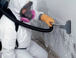 Why You Should Choose Our Mold Remediation Services in Argo, AL